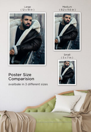 Drake Views Album Cover Music Poster - Image 7